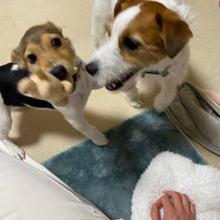 39e09b10 38e6 4ed5 88cc 3ff37b598122 1744289911682