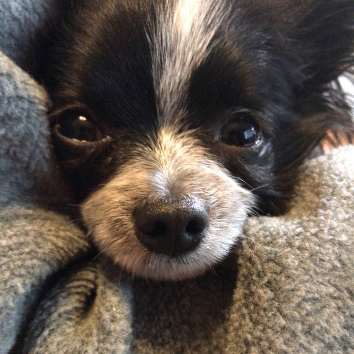 39e0ad78 046a 45dd b3cc 1f9c92b3fdb8 1523428152339