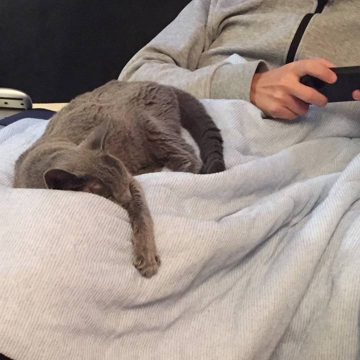 39e0f639 449c 4a11 9df3 a206d9825cdd 1571634345782