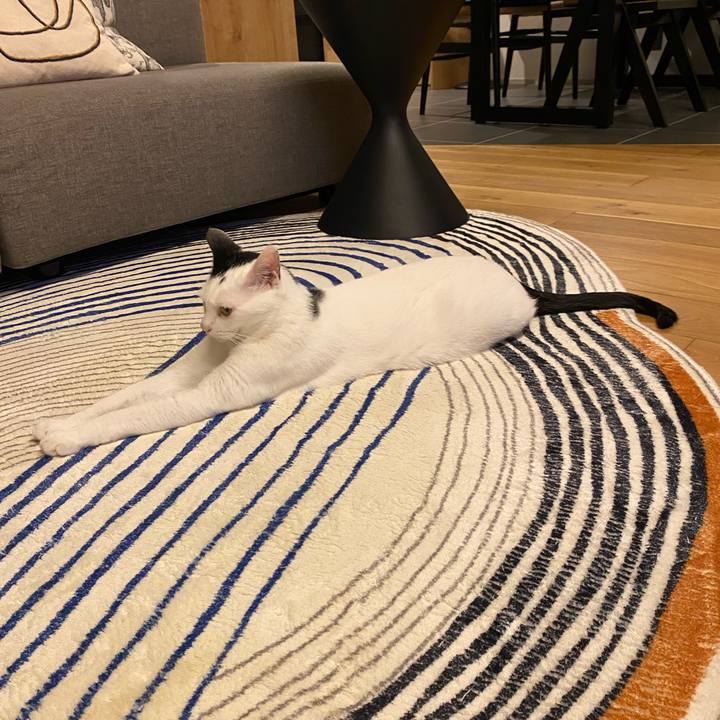 39e1399c c6ac 4c57 9955 17ba6982d616 1751631519952