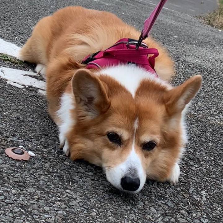 39e1f956 3654 4fe0 8348 780ba103eee7 1671256027737