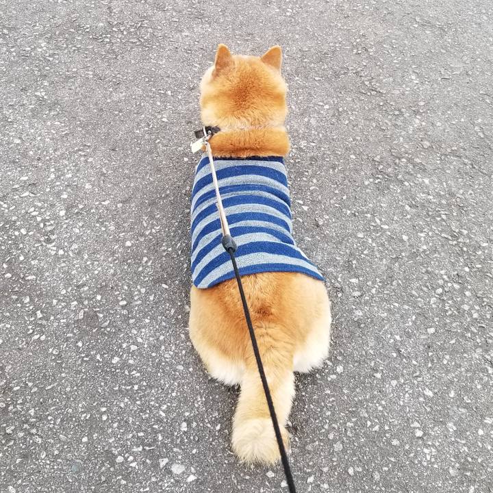 39e2237f fcbb 4bd9 a650 fe525ad3cf21 1669870662878