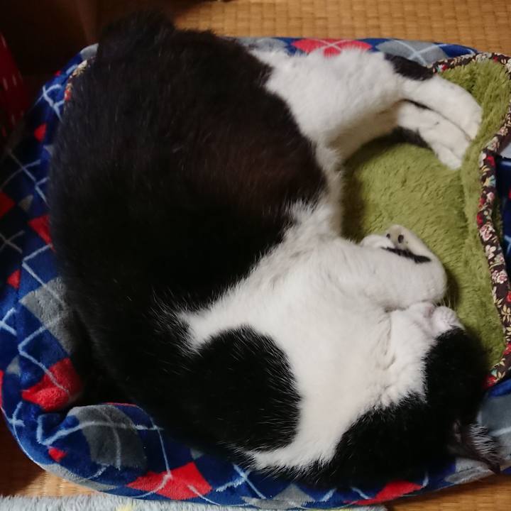 39e231af bfae 4ed3 9f78 abfaad5145f9 1541422434722