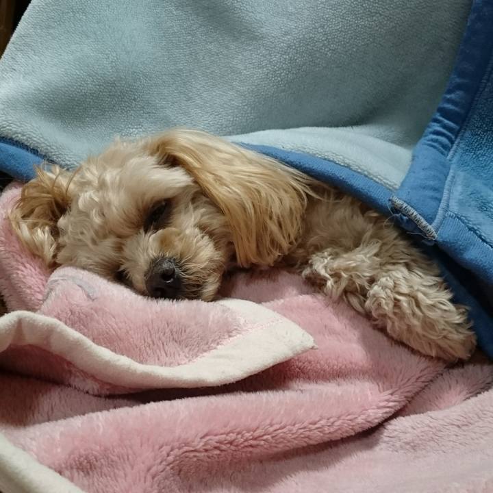 39e239a8 288e 4671 b189 47e679f3bdb5 1520119444869