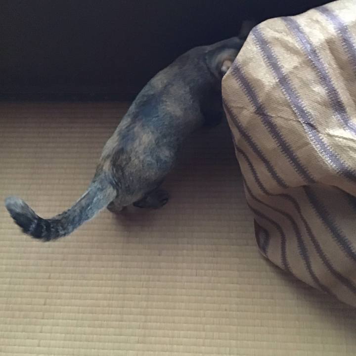 39e25aee 4d01 4596 ad3a 004914762344 1587165197147