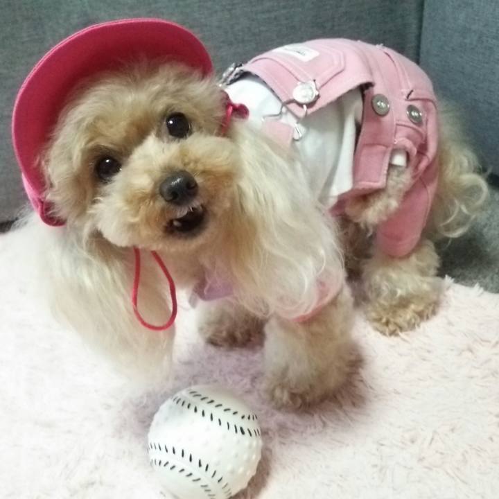 39e28ce5 67c4 405a 9177 a58b1a3e7d33 1561032424249