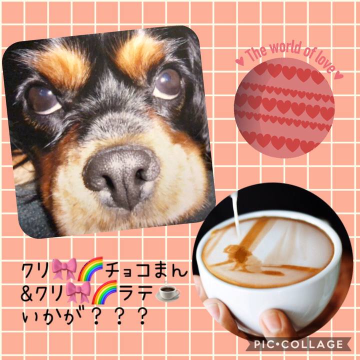 39e294b0 0cc5 435e ae5f e0ef53c9b8c2 1547460169090