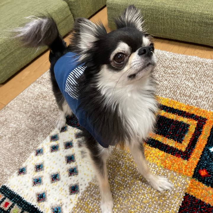 39e2b9ab b38b 4c2e b03b 2f9eec254421 1681571429019