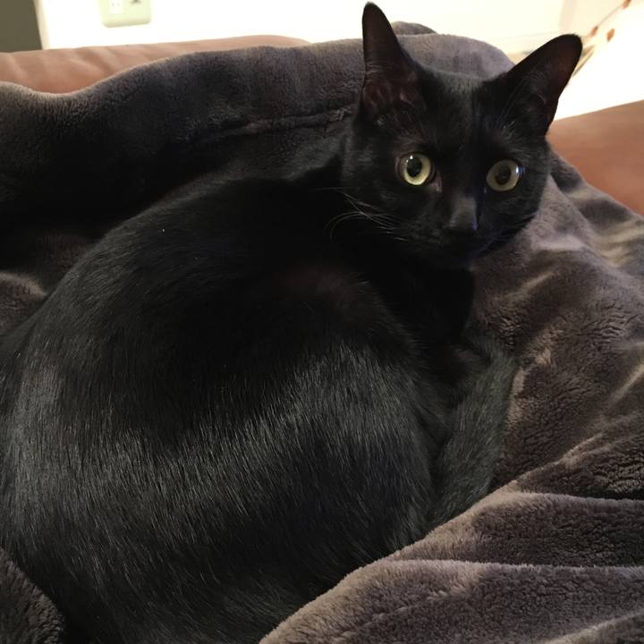 39e2c816 e48a 44df 9356 15d8b3a29dfd 1549362253034