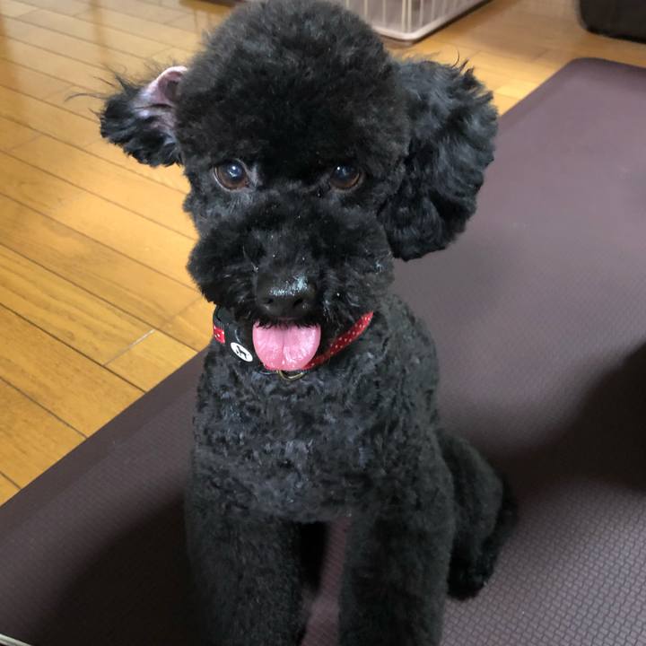 39e2cef1 da3c 403f 941c e5f46aed4759 1562405388927