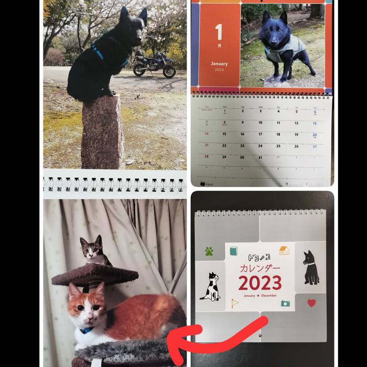 39e30110 21d0 4d20 b42f 50d0b6dccc9b 1704167450955