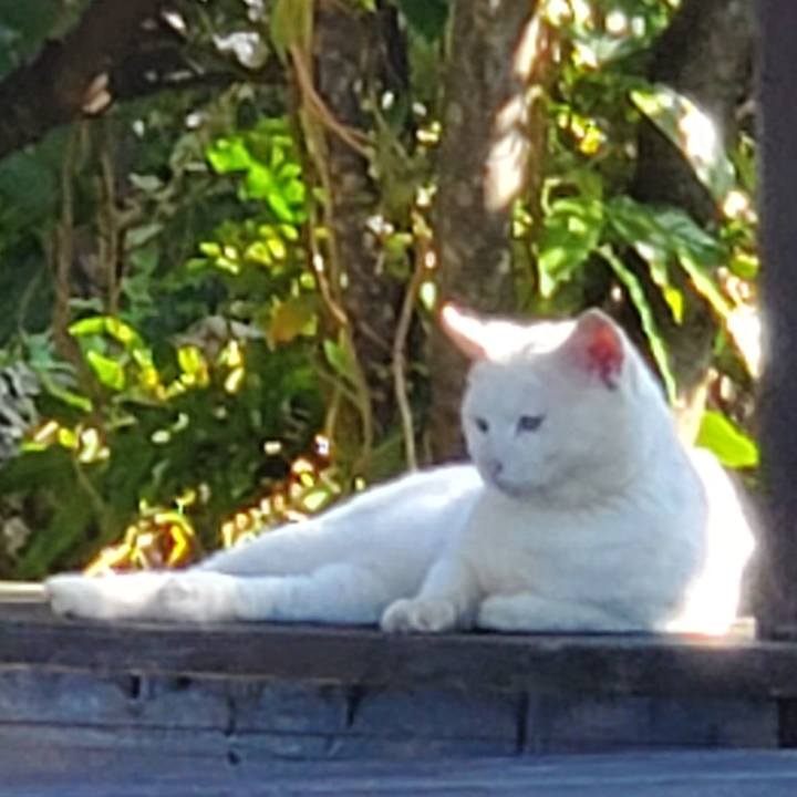 39e32699 ff36 448e a467 fae787c0e09b 1705459666484