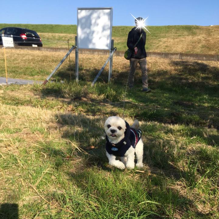 39e3461f 98f4 450c 9f3d d07d193d1758 1512298783401