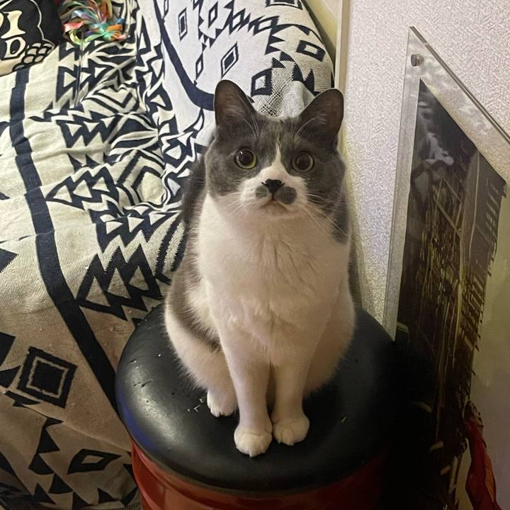 39e3ac4b 7396 4bd3 895a de028ebbd030 1748258722571