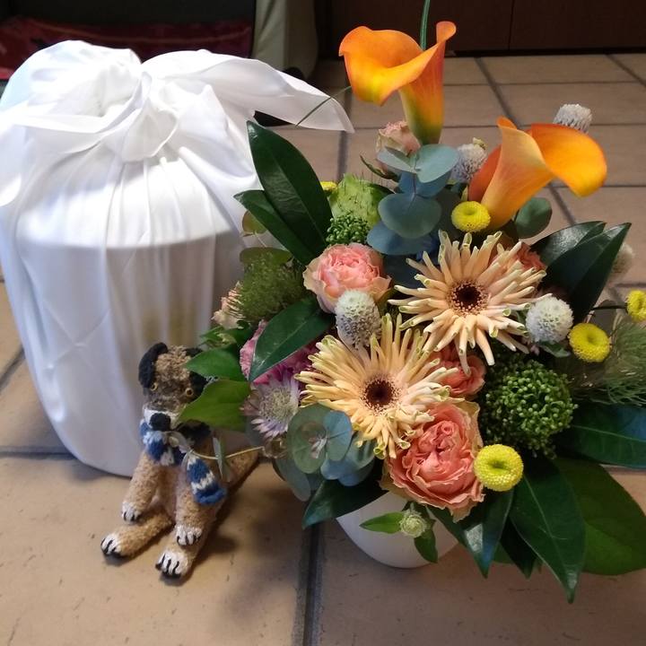 39e3c77b 2215 4339 b4a1 4b47d7906c45 1576022847769