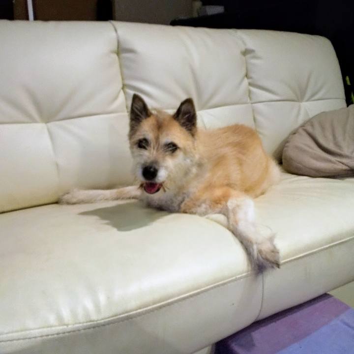 39e3d371 3d66 4b7e a65f 23aa3983843b 1565181576268