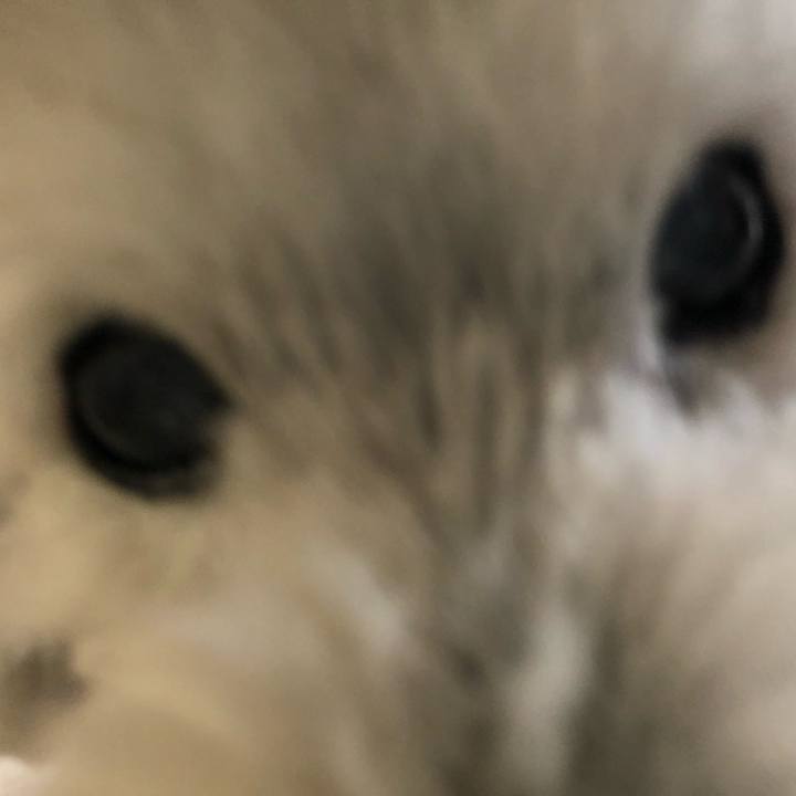 39e3eb53 2493 4730 88a9 c98782eacfef 1659618147204