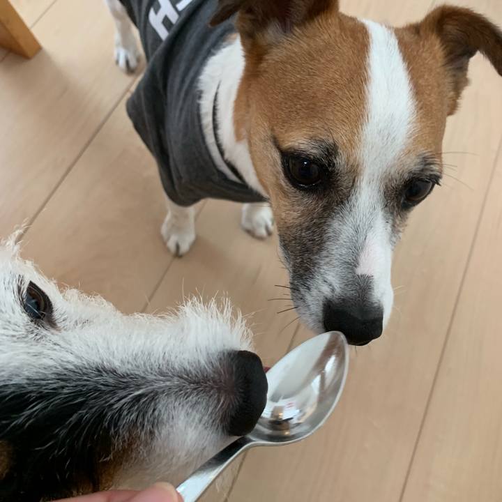 39e402ec 798f 460d a8d4 74e5dca722cf 1563749637957