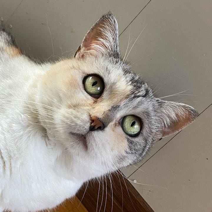 39e42287 2d49 4d7c bd0c b915866ca041 1658106759212