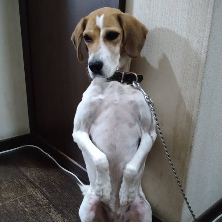 39e429b8 4f8c 4801 8afb 0ca8ebcf140a 1632488949544