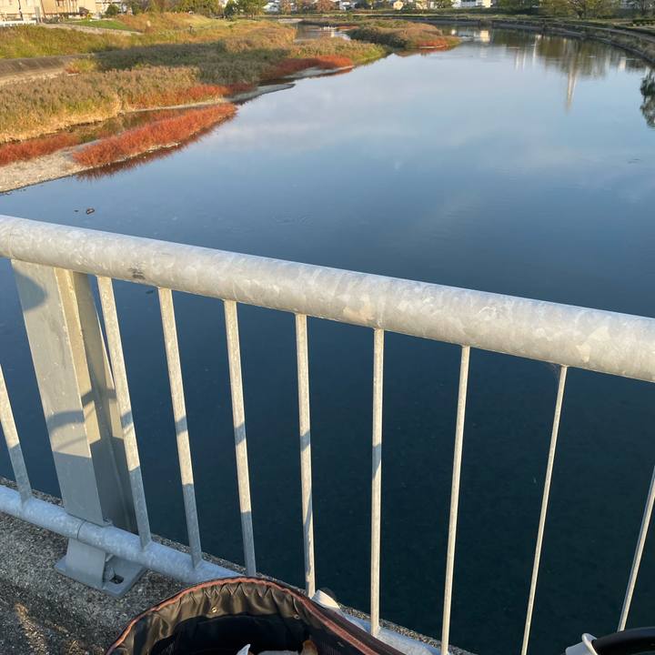 39e42cd1 583c 4ef1 8ba2 d28131618dbc 1668065450101