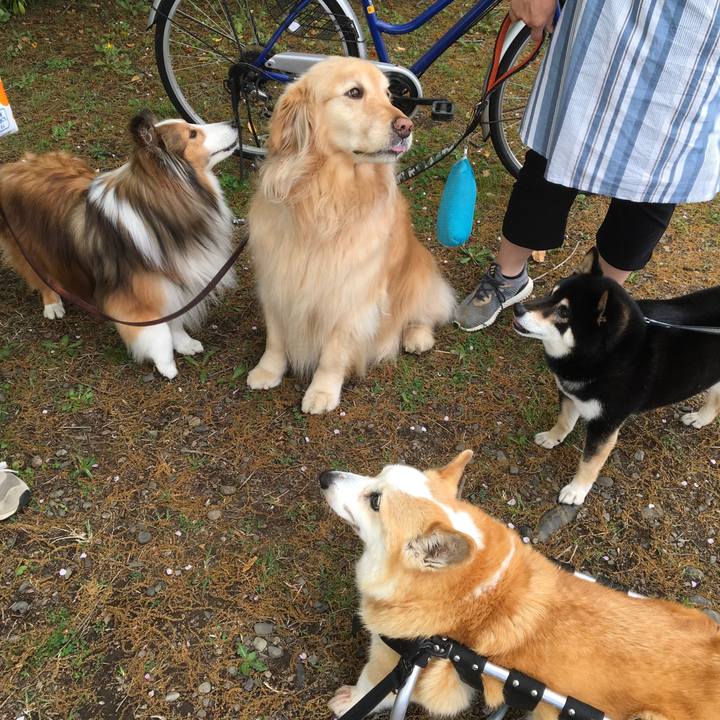 39e460d5 7184 4c0c a03d d0dd38ab3d79 1691634762606