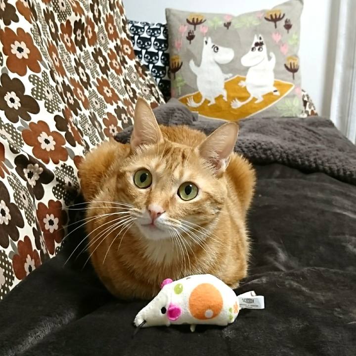 39e48a62 48f1 4997 8ccb c58a99c8b263 1540114297543