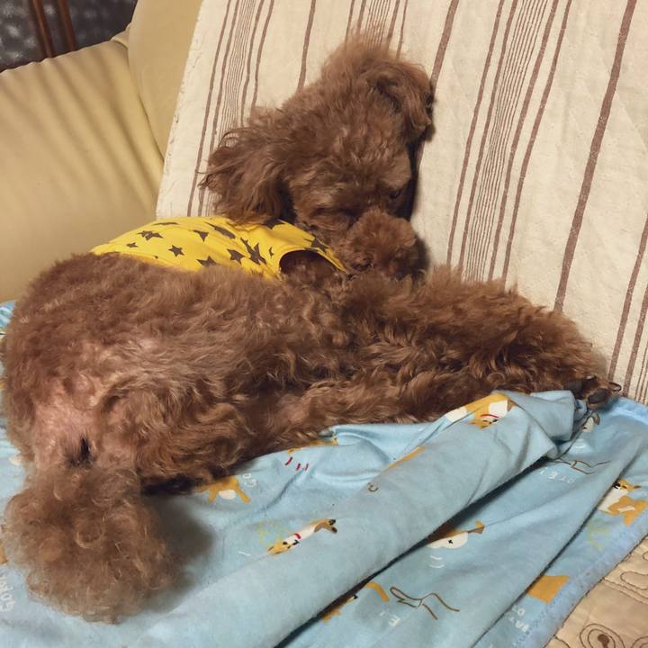 39e4b0c4 c1bb 4d1b 9545 f86da21462c1 1564034802711