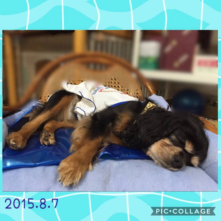 39e51b05 f0bc 464b 9283 7864a5862c36 1565188730683