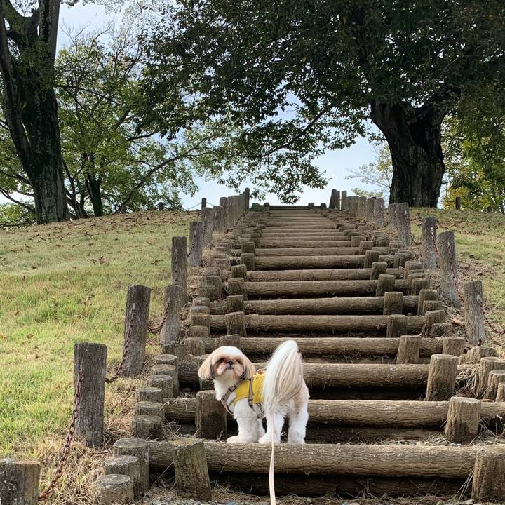 39e5381b f9a2 42a6 95ad 30ce2ccc5291 1603008997100