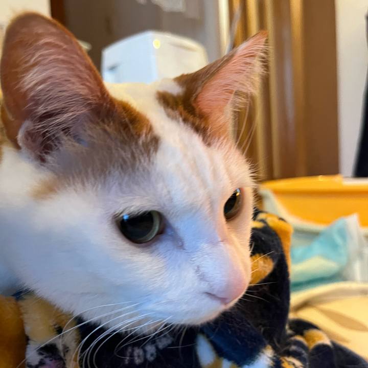 39e58512 6c01 4ba6 8adc e8c6337fb2e6 1771512514840