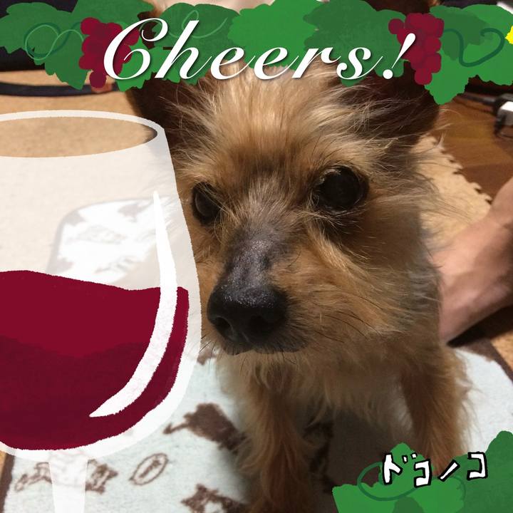 39e59038 d7dd 4901 aaf6 2c47fb036932 1761126614747