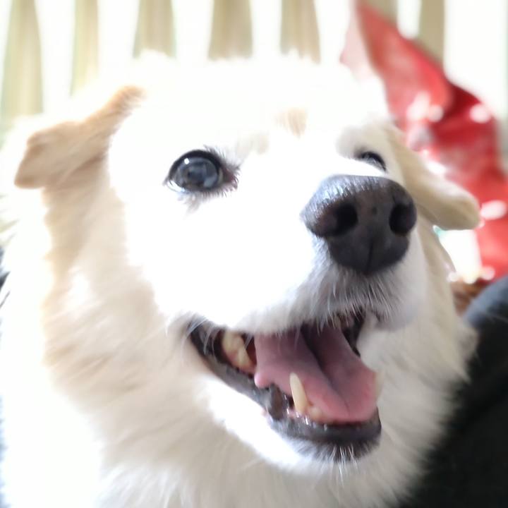 39e59960 39c6 46a8 82e4 7f07ab46ad9c 1648680921036