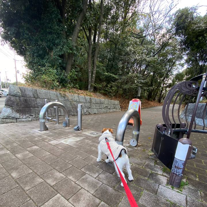 39e59afa 9933 4d12 9cb5 8496169d501e 1740374000492