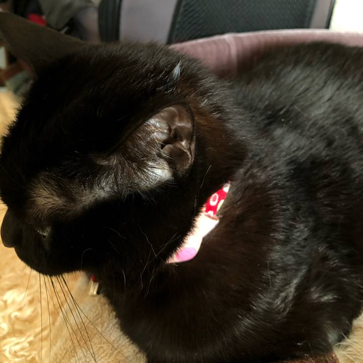 39e5d401 24b9 4a08 a93e 3d265e5a4f5e 1612923509542