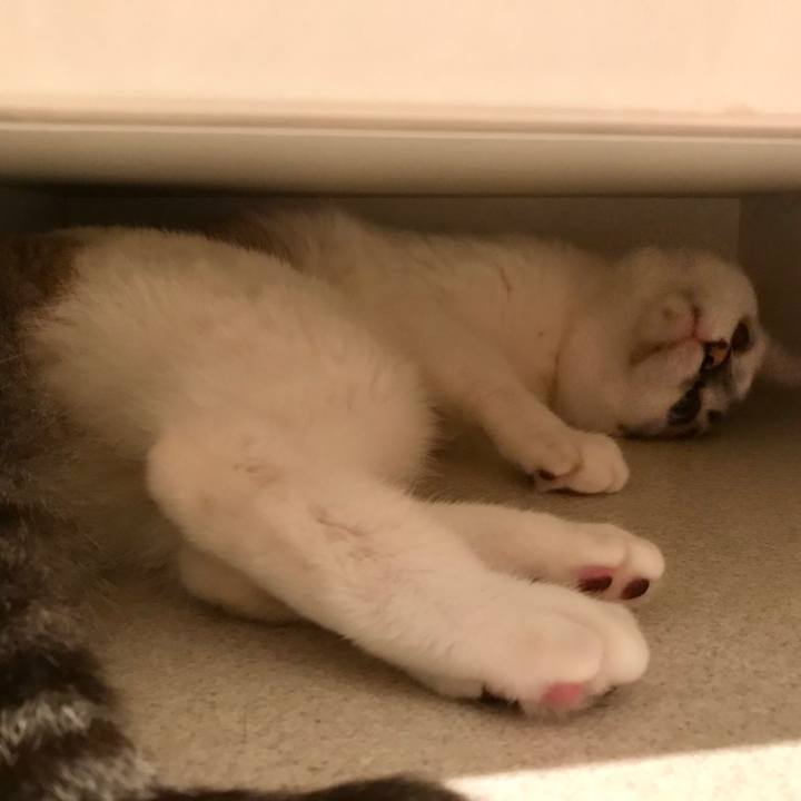 39e5dfc6 ec02 4a57 ae8a 11c9a5730a0b 1529537658055