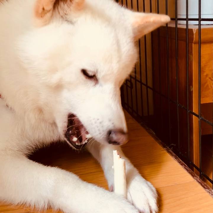 39e5fafd 9e88 4ad1 a5cf e04e3825b84b 1562312622447