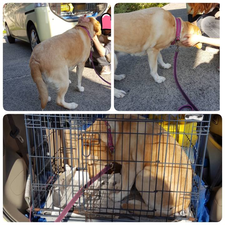 39e642f7 57c2 4ac7 9357 3ca64ad65a56 1525957447501