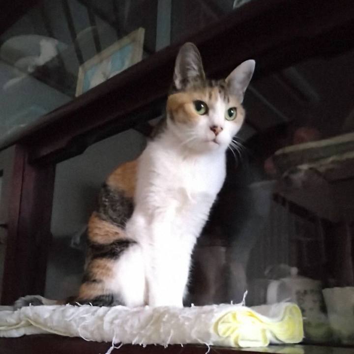 39e67249 83ba 42f9 ac77 7ce1b75b9b75 1742771761161