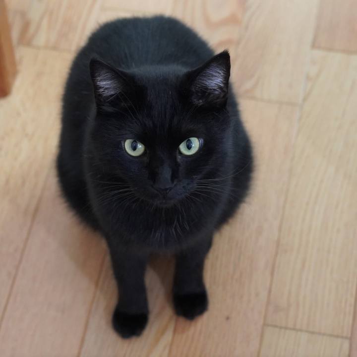 39e678fd 9a15 4cca b99f 5b8ca52ca2b9 1629590725613