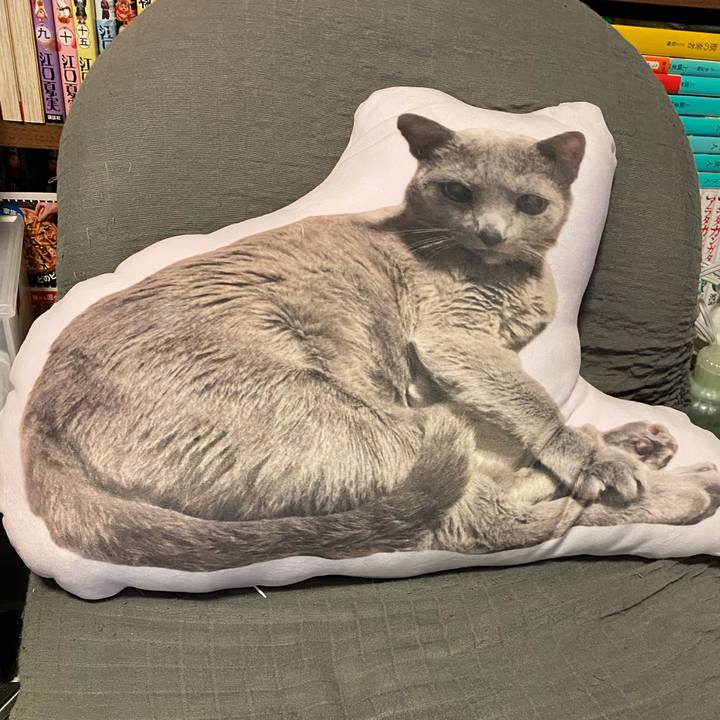 39e68bf7 544e 430f b391 135d9ed4ae30 1623998391141