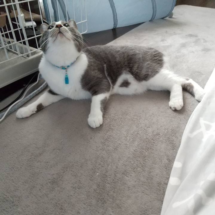 39e6a8ed d508 438d 9ae8 ba00c79fc534 1637402964039