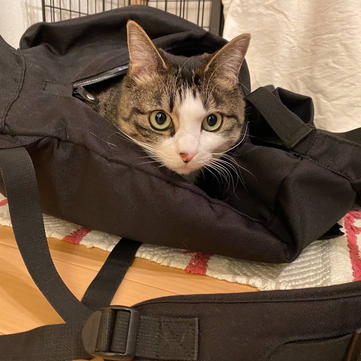 39e6bd8e f5b1 4a4f 9684 79adba1a221f 1644320477512