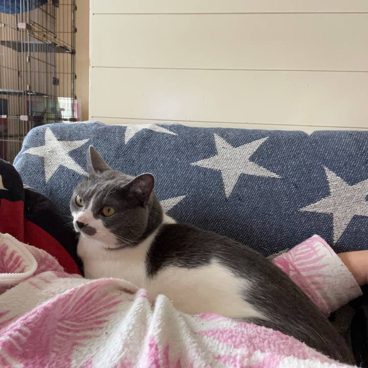 39e6c767 d21b 4f32 9ced 9cc4d780690b 1651884609973