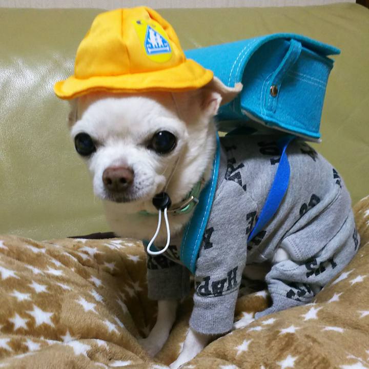 39e71d98 4f03 4a62 b603 2f677326c033 1520892180625