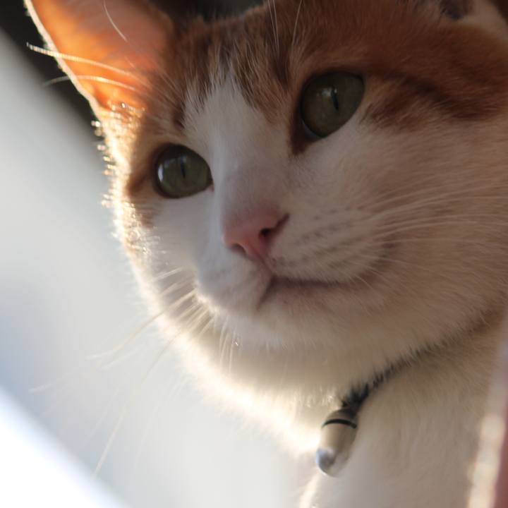 39e77702 f6ba 4597 beeb 0e6a81984b65 1518773652929