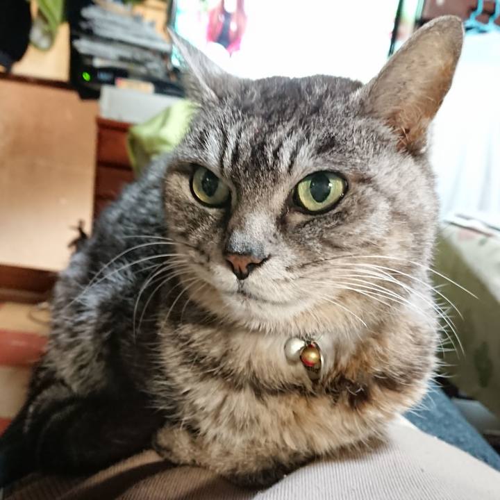 39e77a87 2d7e 4424 98c0 dd8eade164ff 1582196556556