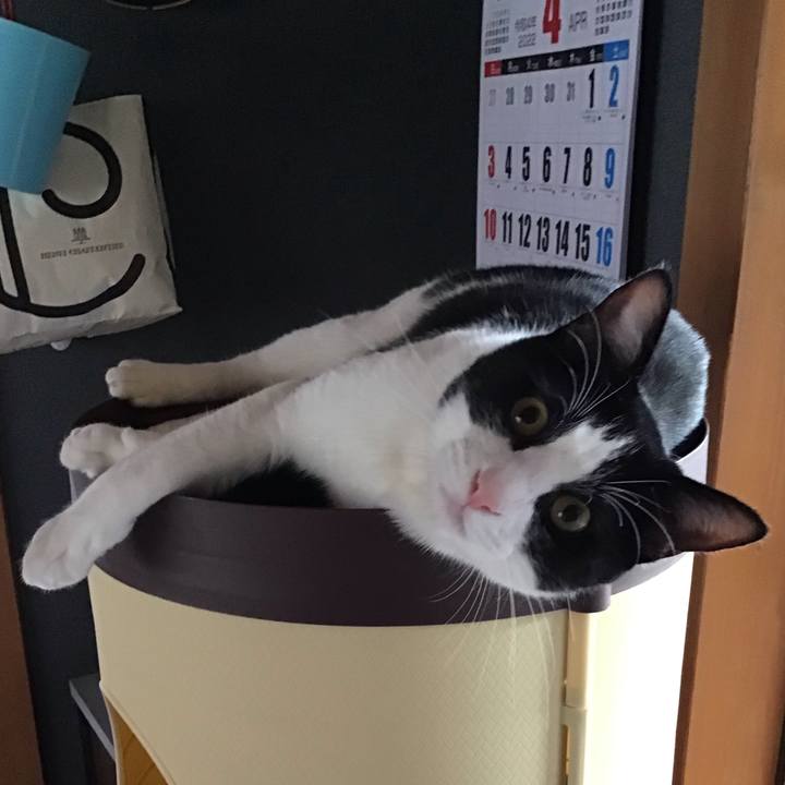 39e785f4 158a 40fa a28d cdd053f73775 1651041240935