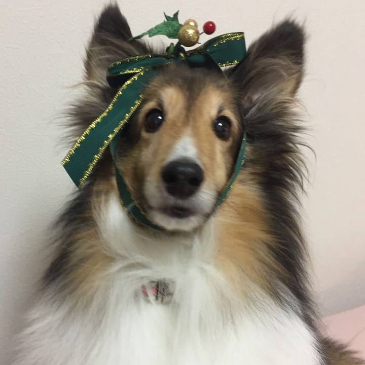 39e79818 f508 4735 aa4a 6b12314b5be7 1512646732623