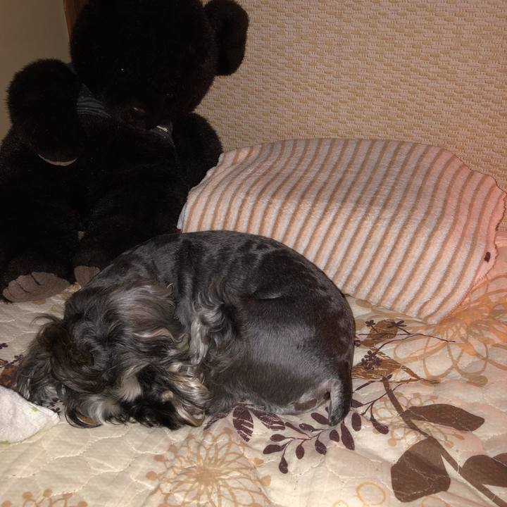 39e7bbe4 91a4 4727 94f8 f2ba725cc254 1528120477754